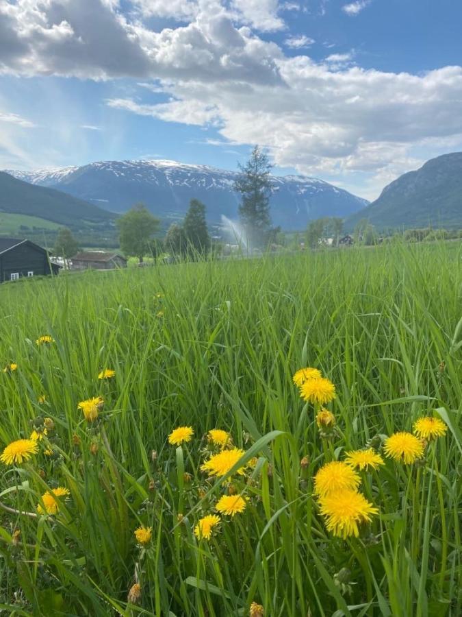 Stort Og Autentisk Hus I Skjak - Kort Vei Til Lom! Exterior foto